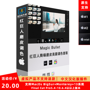 FCPX 红巨人降噪磨皮美颜调色套装/达芬奇AE/PR插件v2023.2.1