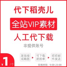 wps稻壳儿会员素材下载PPT表格Word文档图表简历模板字体图片代下