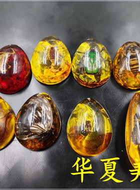 原石吊坠蝴蝶挂件昆虫琥珀