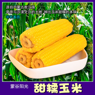 骀嫂内蒙古敖汉旗黄金小粒甜糯玉米蒙谷阳光鲜食软糯甜玉米包邮