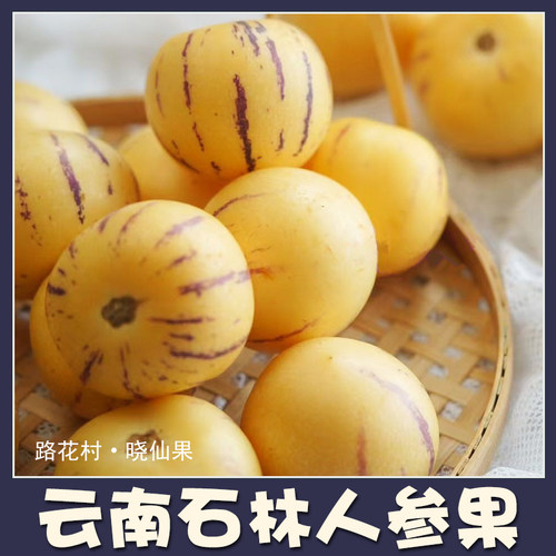云南石林人参果路花村.晓仙果