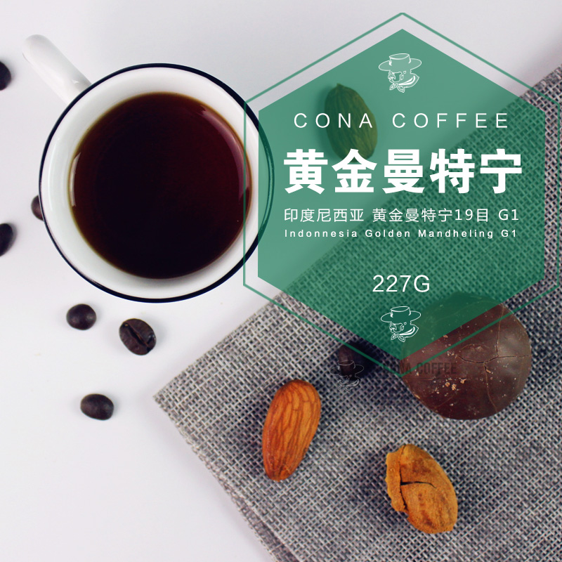 cona柯娜新产季黄金曼特宁G1咖