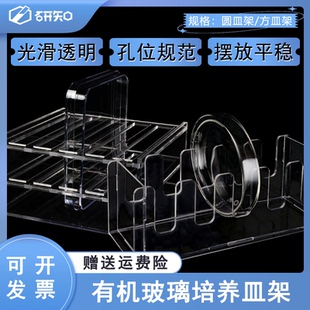 竖放 150mm 120 有机玻璃培养皿架 100 玻璃培养皿60 10个装