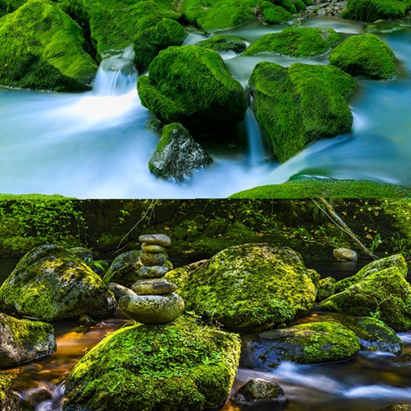 鱼缸背景贴青苔石背景图高清水族鱼缸壁纸造景装饰画不干胶贴纸
