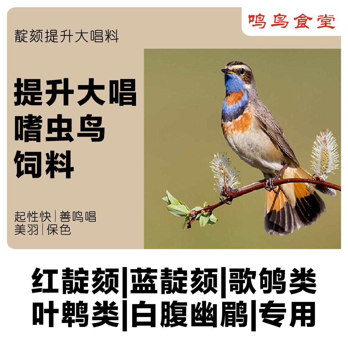 颠颏鸟食红蓝饲料蓝点颏红蓝百灵黄腾黄鹂蓝脖鸟食提性壮膘美羽