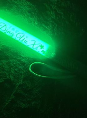 丁禹兮应援棒超亮应援棒演唱会定制荧光棒打call