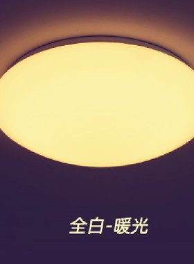 LED吸顶灯圆形白色灯罩12W18W24W36W48W72W黄光暖光白光三色包邮
