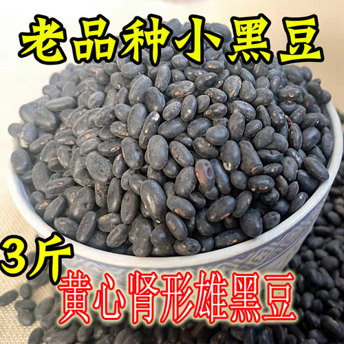 肾形药用黄心小黑豆农家自种打豆浆专用优黄芯杂粮散装3斤