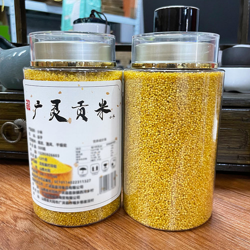 广灵黄小米当季新米大白谷