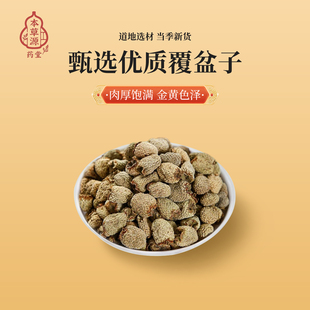 本草源安徽覆盆子100g道地选材当季新货肉厚饱满金黄色泽