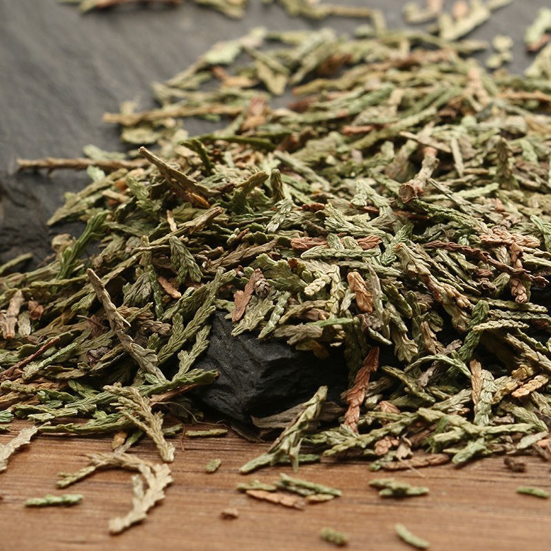 中药材特级野生侧柏叶