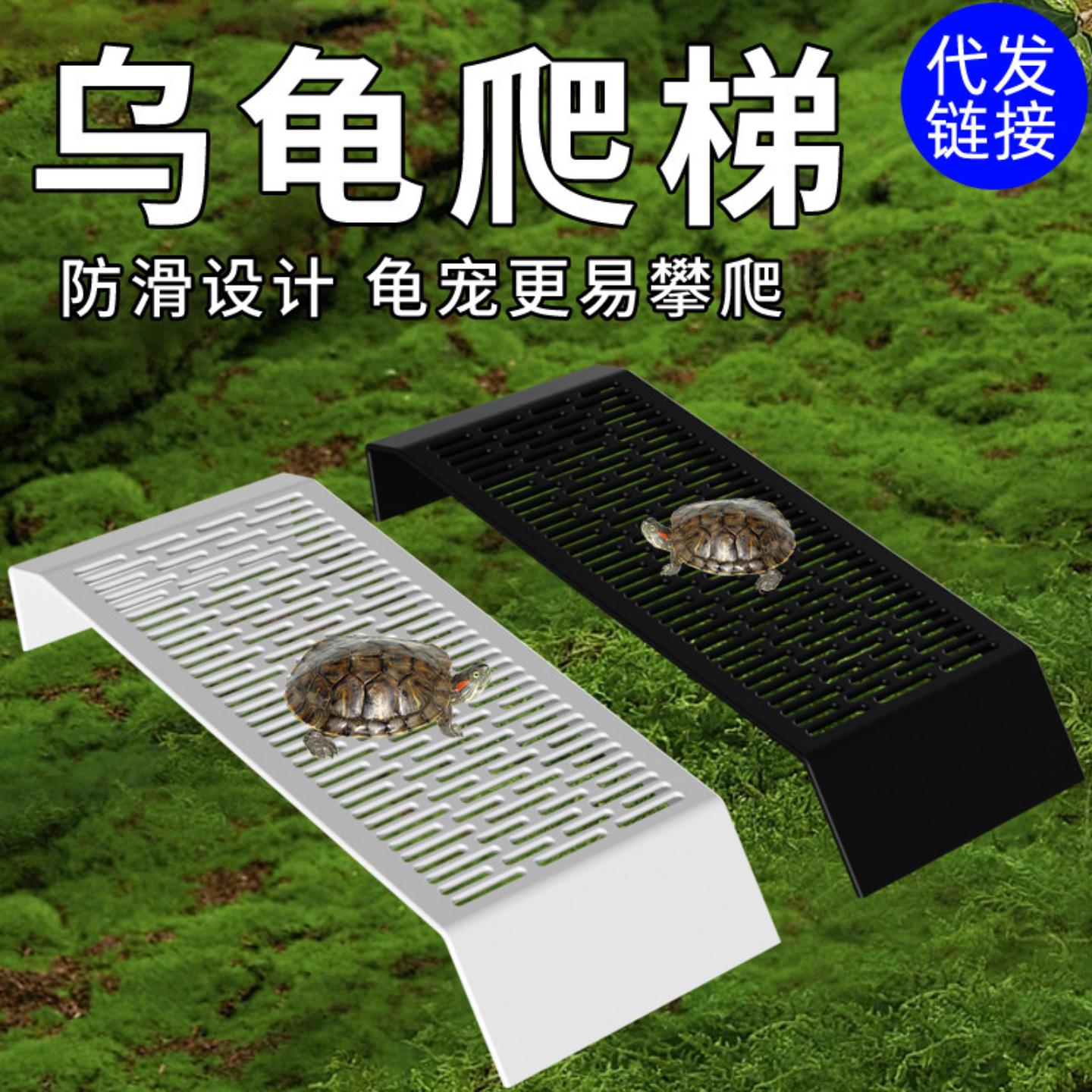 乌龟专用玩具爬梯带钩通用款蛋龟