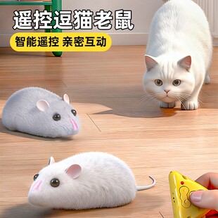 2025年新款网红电动遥控小老鼠3到6岁5儿童4彷真会动的老鼠车玩具