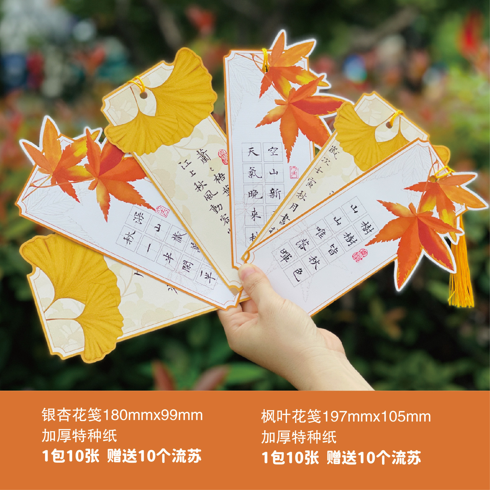 硬笔书法一笔笺花笺银杏信纸古风信笺小楷书法秋天枫叶书签贺卡