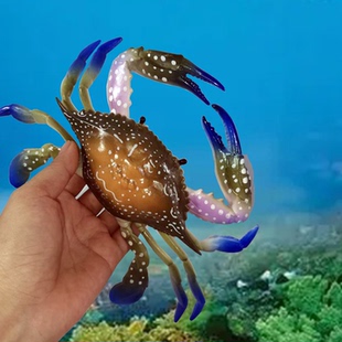 螃蟹模型仿真海洋动物大龙虾三眼蟹红花蟹蓝花蟹梭子蟹儿童玩具