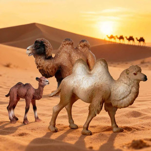 仿真野生动物模型儿童玩具骆驼双峰骆驼沙漠骆驼玩偶摆件认知礼物