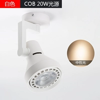 Накладной белый нейтральный свет COB20W