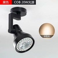 Накладной черный нейтральный свет COB20W