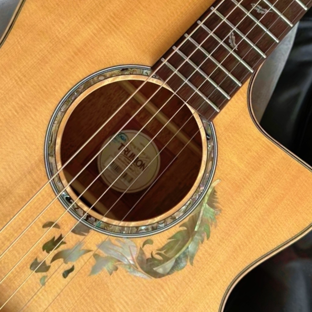 【南音】楚门Trumon黑羽系列950/980面单民谣吉他入门进阶吉他