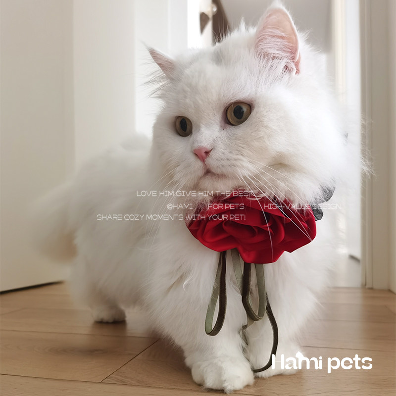 HAMI哈米宠物猫咪狗狗生日红色玫瑰花项圈花朵领结可调节颈链项链