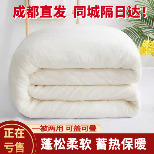 成都保暖加厚棉被芯棉垫被