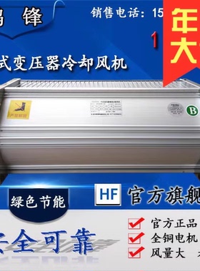 GFD/GFDD1050 1100 1120-110/120 干式变压器横流冷却风机 220V