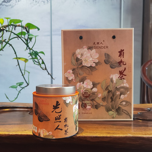 光照人小盒装推荐铁观音茶叶