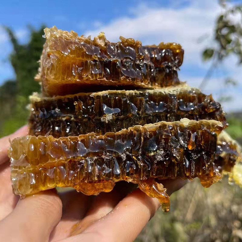 四川农家自产野生土蜂蜜百花蜜纯正天然产品成熟结晶深山食用原蜜