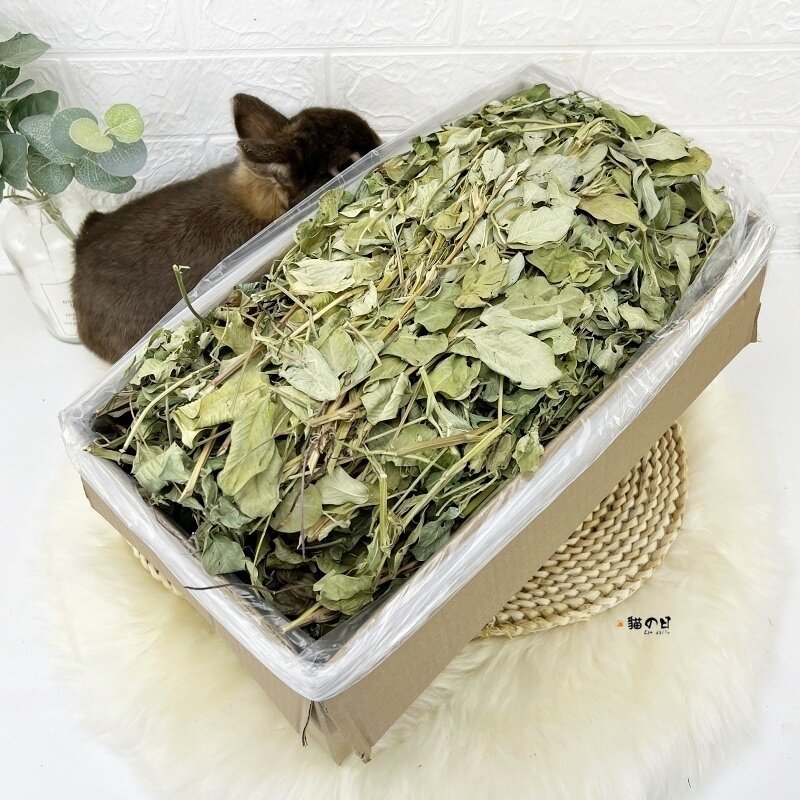 花生秧天然花生叶草苗兔子龙猫豚鼠烘干牧草高蛋白质有虫眼500g