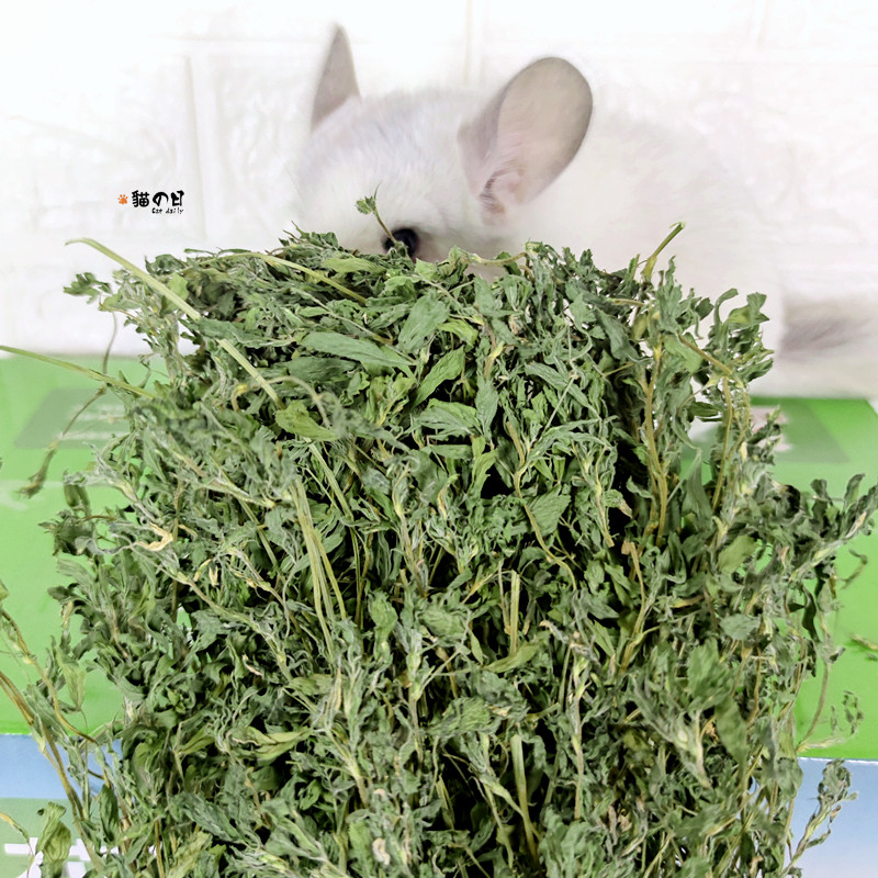 25年新苜蓿草高蛋白质头茬紫花苜宿兔子烘干牧草龙猫荷兰猪1kg