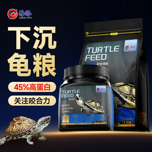 关注龟咬合力