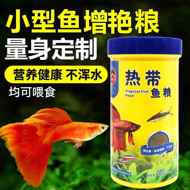 海豚小型热带鱼食鱼饲料孔雀鱼灯科鱼增艳小颗粒薄片不浑水鱼粮