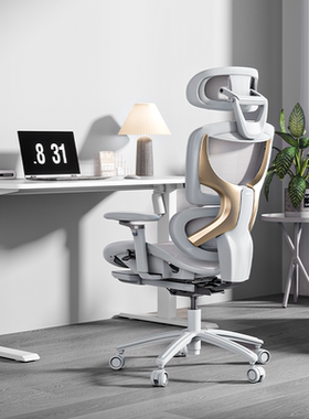 恒林孤勇者人体工学椅办公椅升降旋转电竞椅久坐舒适靠背可躺椅子