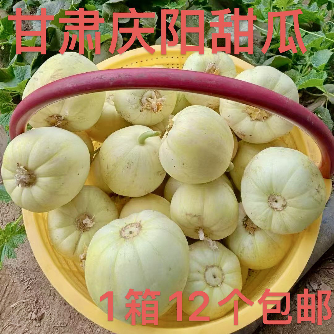 甘肃庆阳姚川梨瓜头茬小蜜蜂甜瓜农家新鲜应季水果现摘现发12个装