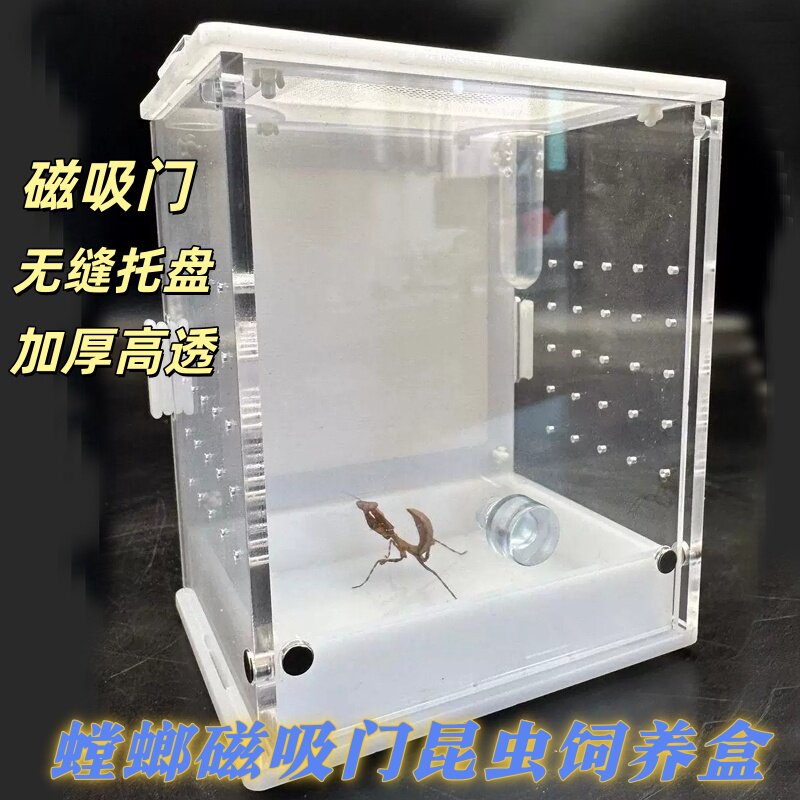 螳螂亚克力饲养盒竹蛉昆虫盒蝈蝈笼子鸣虫生态金属网加湿管喂食口图片