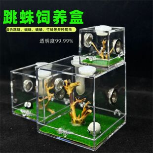 跳蛛饲养盒蛐蛐葫芦罐高透明蜘蛛盒马蛉竹蛉黄蛉螳螂鸣虫生态盒