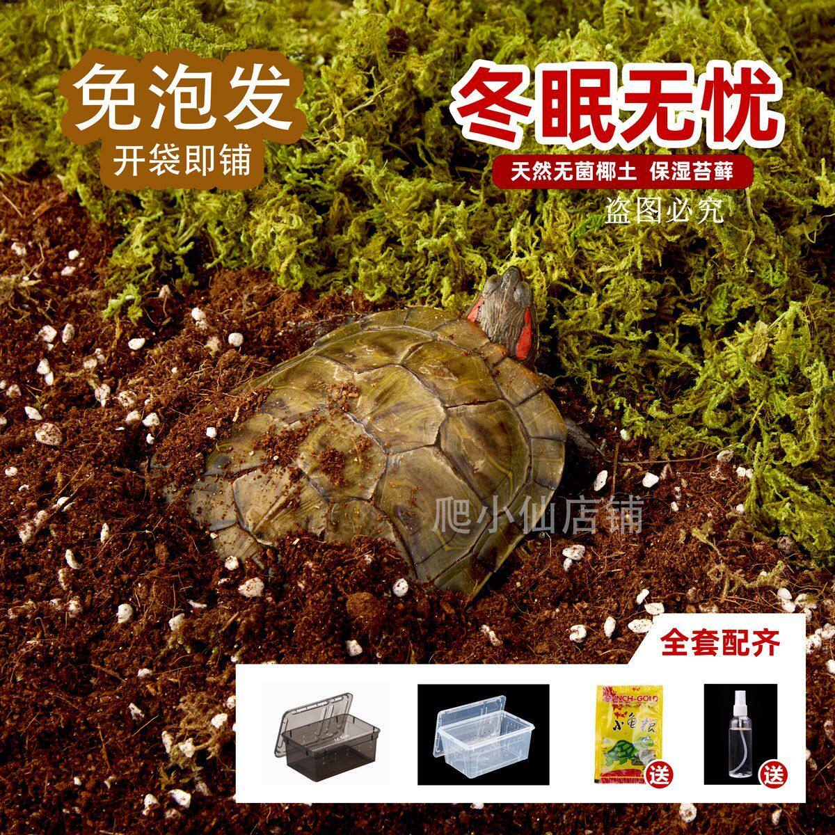 垫材椰砖土冬眠蜘蛛蝎子爬虫垫材宠物无菌椰土苔藓乌龟冬眠专用
