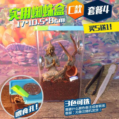 爬虫饲养盒幼体蜘蛛红玫