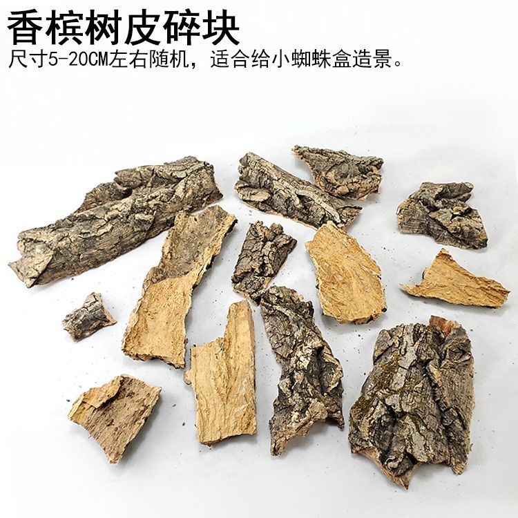 香槟树皮亚克力爬虫饲养箱饲养盒造景蜥蜴宠物火玫瑰蜘蛛躲避攀爬