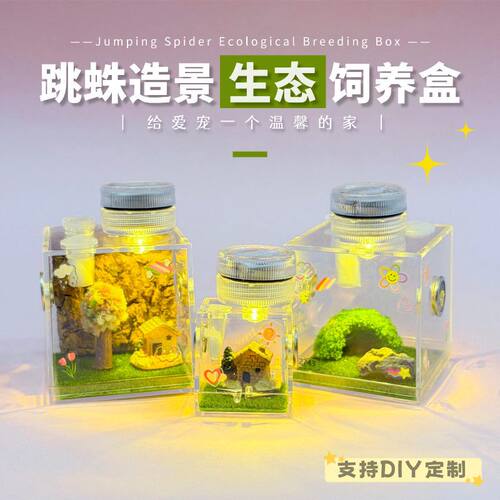跳蛛生态造景饲养盒亚克