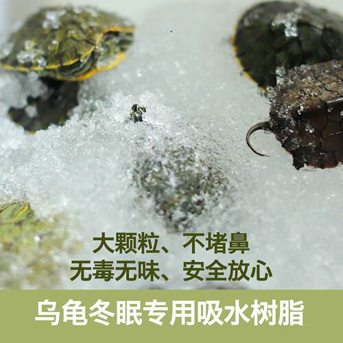 乌龟冬眠吸水树脂过冬保温保湿