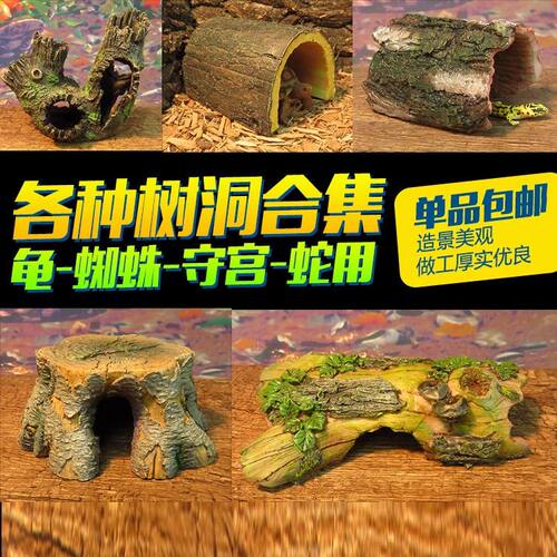 爬虫饲养盒箱造景蜘蛛蝎