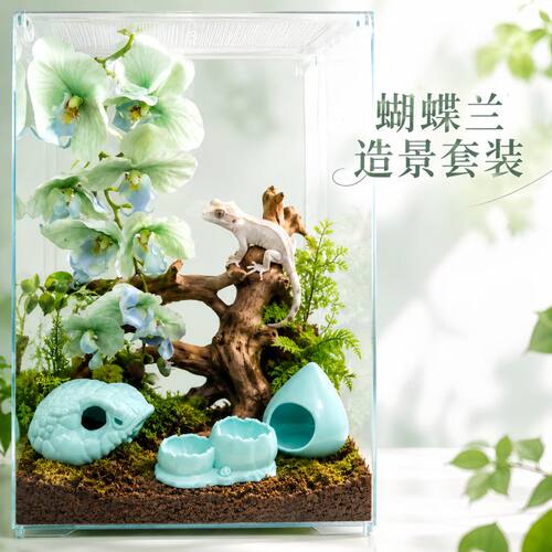 造景套餐守宫蛇饲养箱材