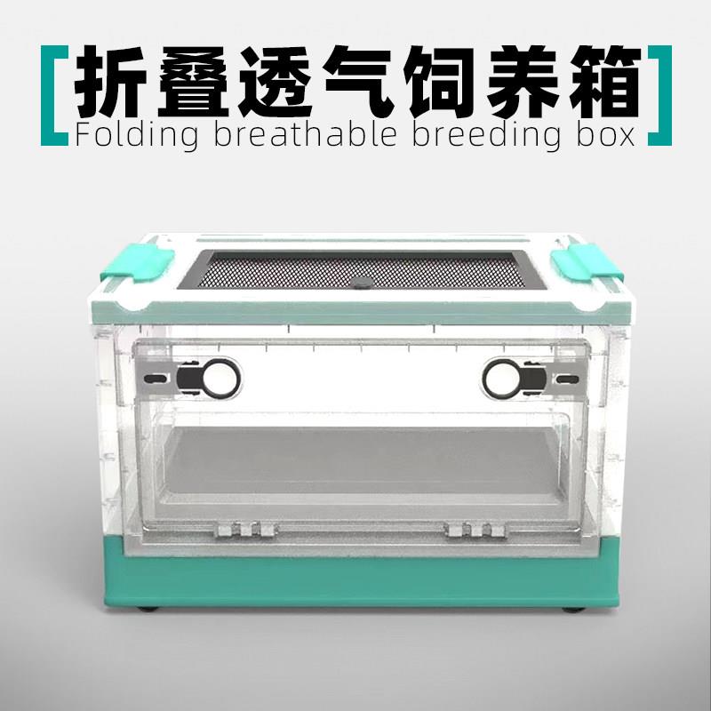 爬宠可折叠小型塑料饲养箱办公室守宫角蛙 仓鼠 蝎子轻便通风造景