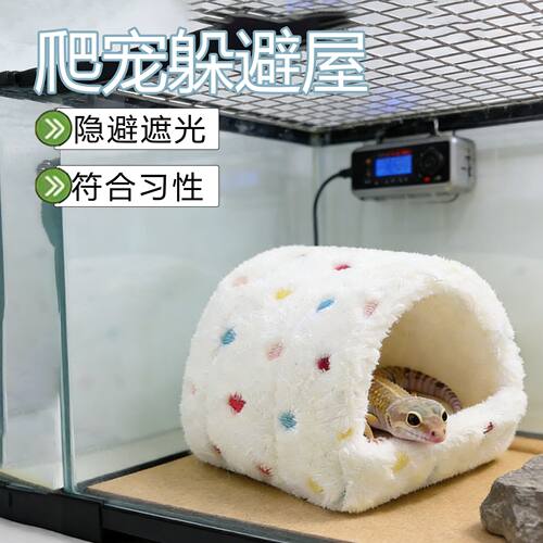 守宫躲避屋棉窝过冬保暖