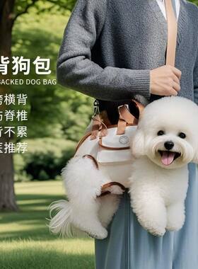 狗狗斜挎包外出中小型犬