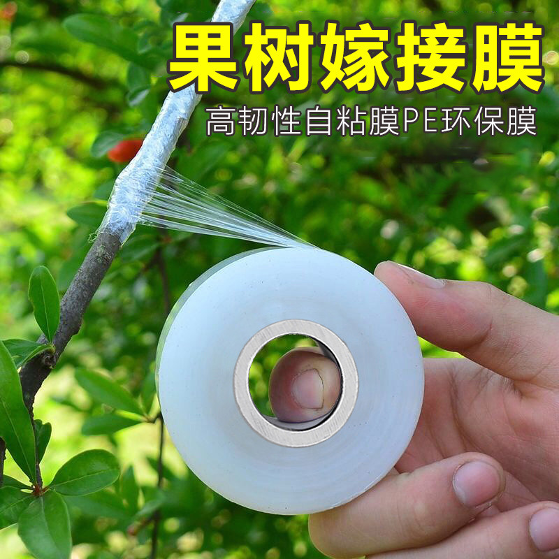 塑料薄膜园林树苗PE自粘式农用果树嫁接用包扎带胶带缠绕高韧性
