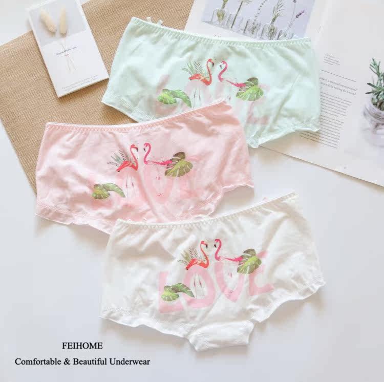 n379舒适女士中低腰XL火烈鸟内裤