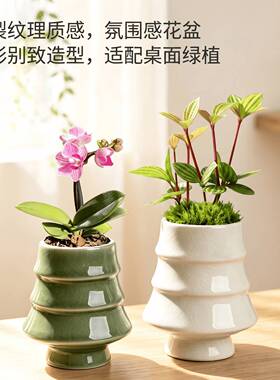 园艺陶瓷多肉花盆创意圣诞树器型