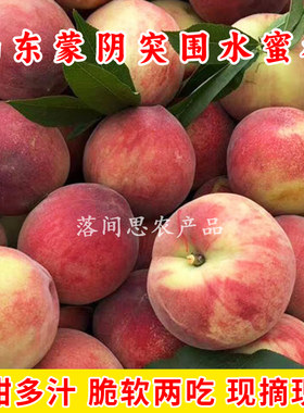 山东临沂蒙阴突围水蜜桃鲜红毛桃